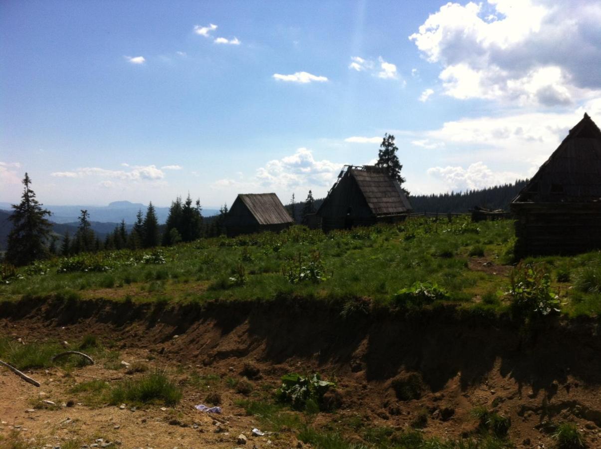 Pensiunea Skiland Muntele Baisorii Esterno foto