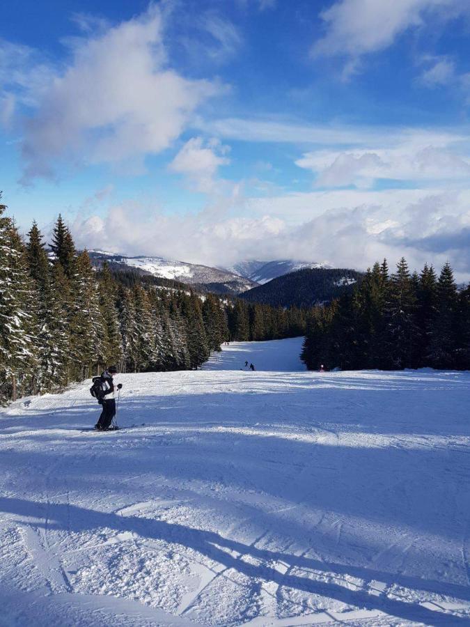 Pensiunea Skiland Muntele Baisorii Esterno foto