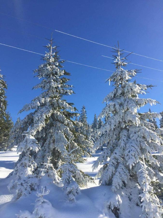 Pensiunea Skiland Muntele Baisorii Esterno foto