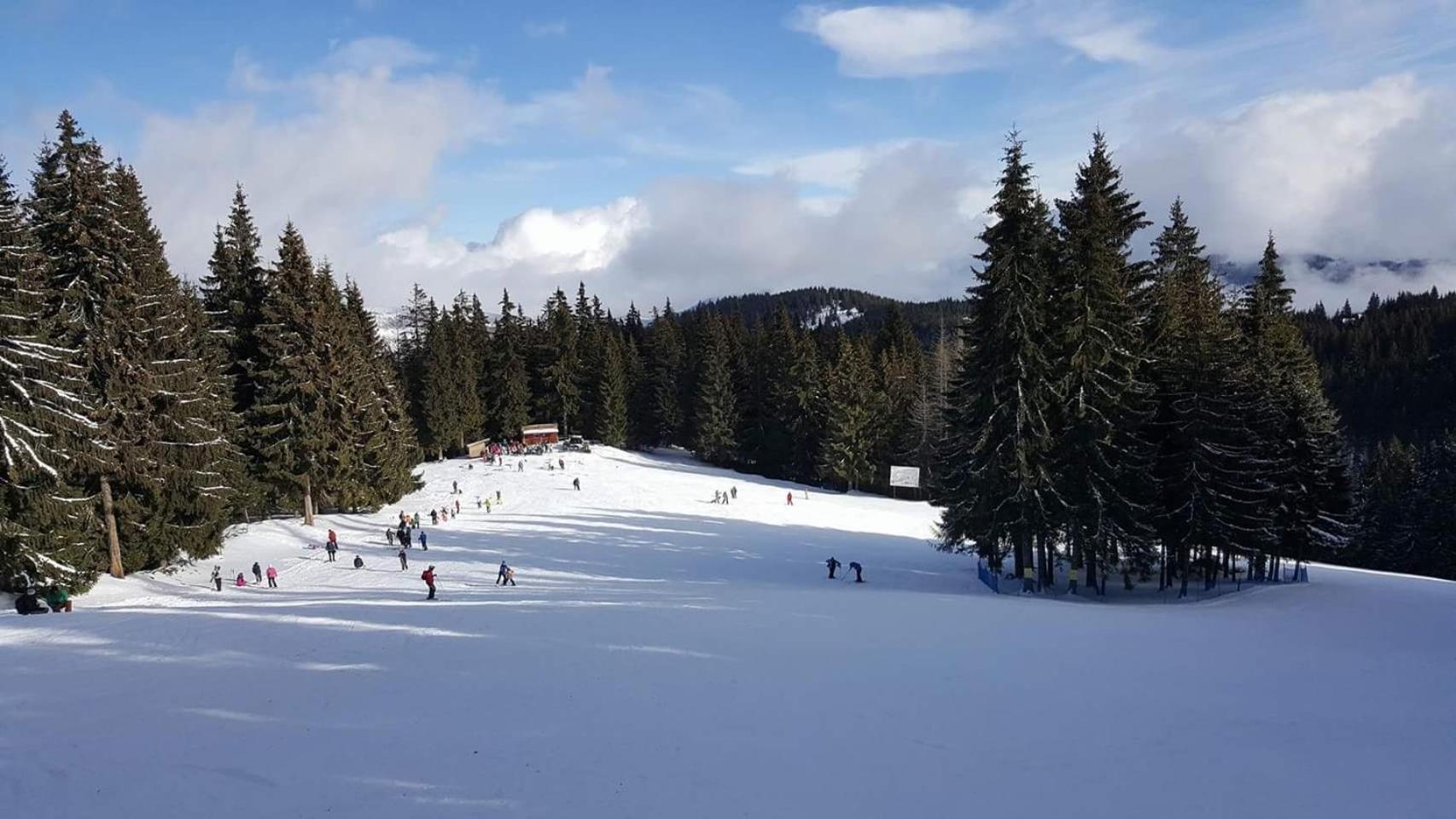 Pensiunea Skiland Muntele Baisorii Esterno foto